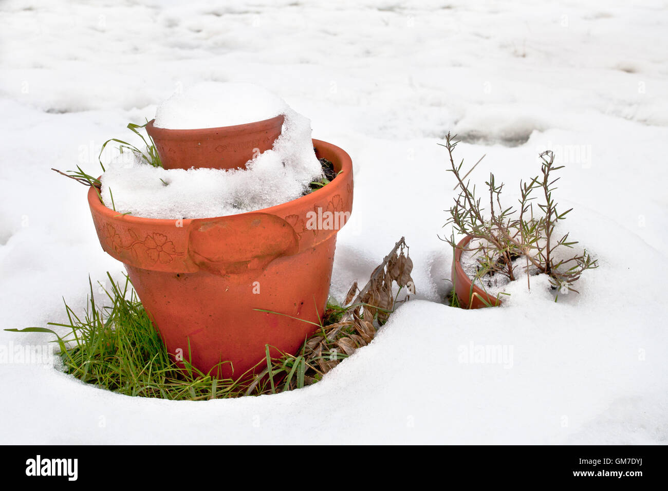Casseroles dans la neige Banque D'Images