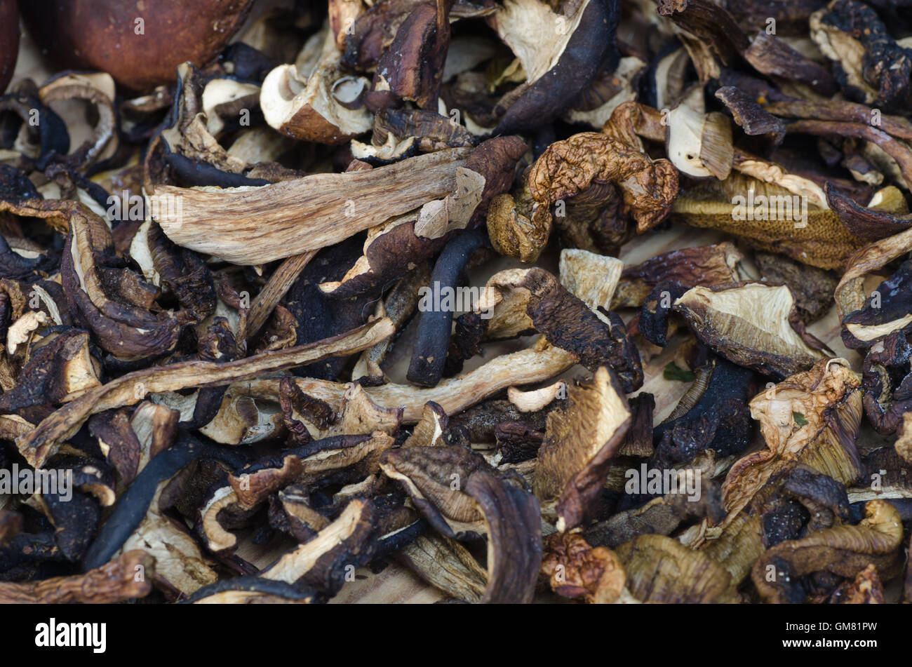 Groupe d'incultes secs champignons comestibles Banque D'Images
