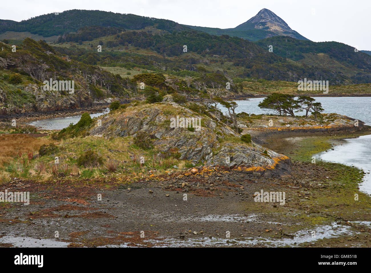 Wulaia Bay situé sur l'Île Navarino chilienne sur le côté du canal de Beagle en Patagonie, au sud du Chili. Banque D'Images