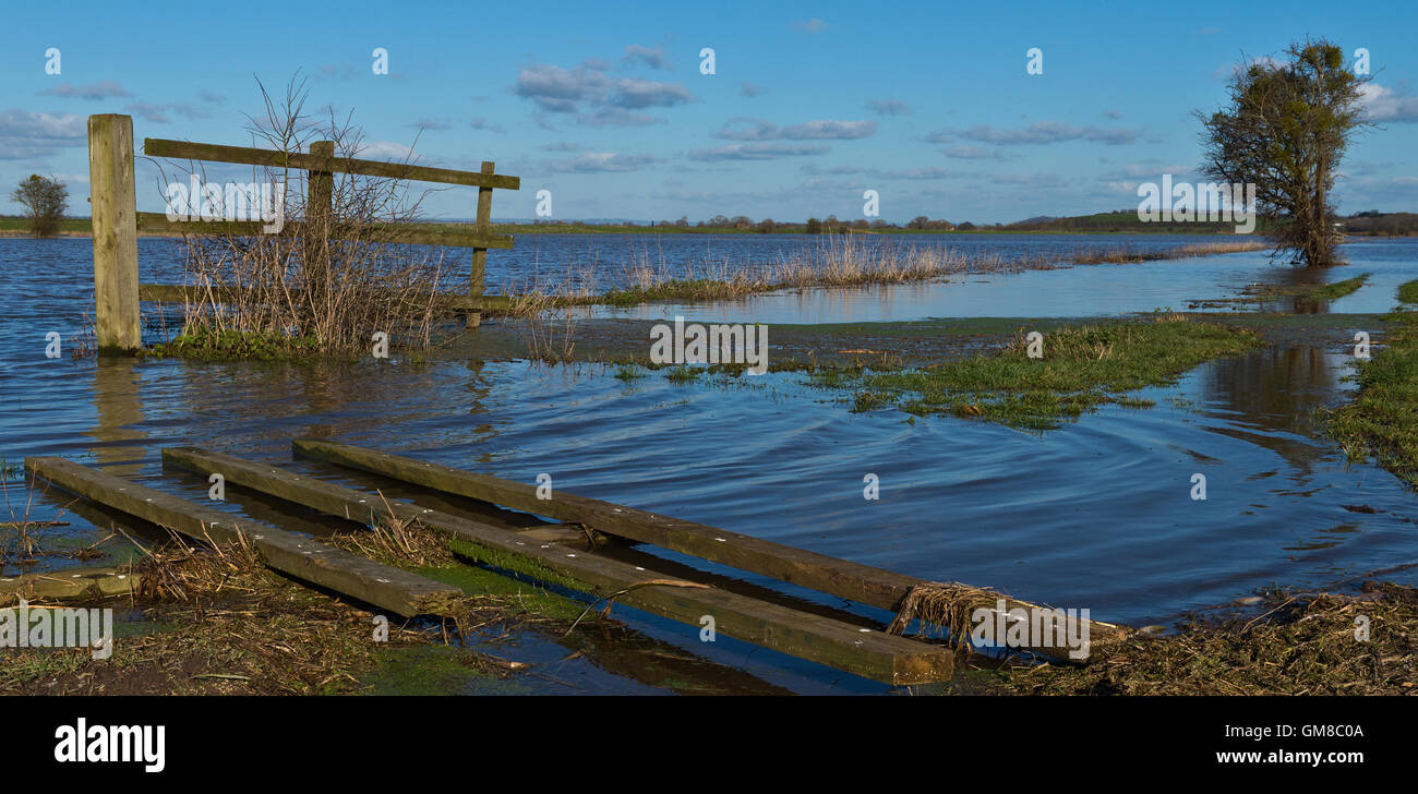 Une vue panoramique sur les champs inondés sur le foin Moor, prises à partir de Moredon conduit près de nouveau pont sur le Somerset Levels Banque D'Images