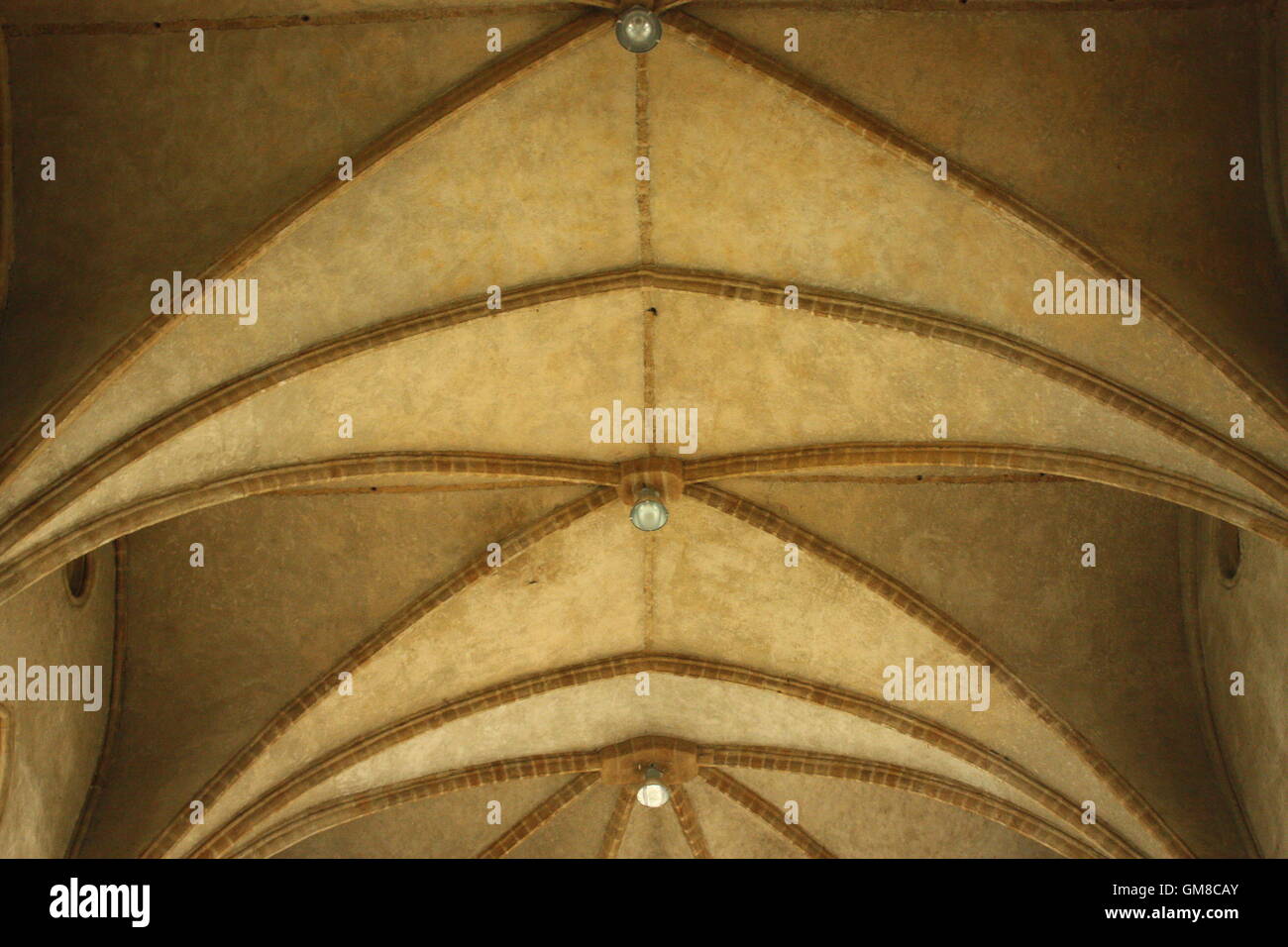 Plafond de l'église St Volusien, Foix, Languedoc, France Banque D'Images