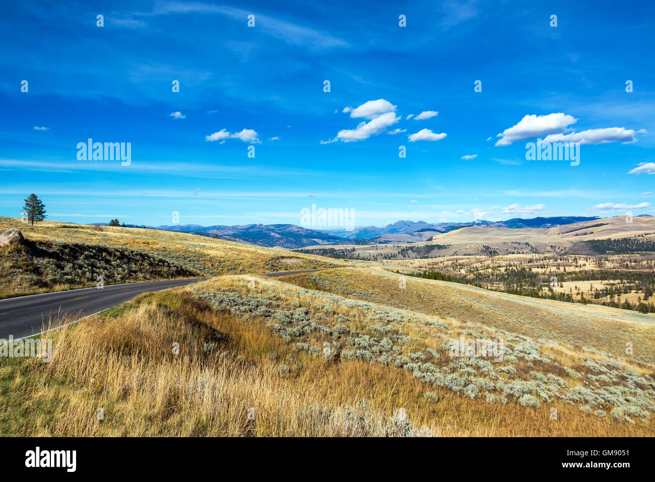 Beau paysage avec une route qui le traverse dans le Parc National de Yellowstone Banque D'Images