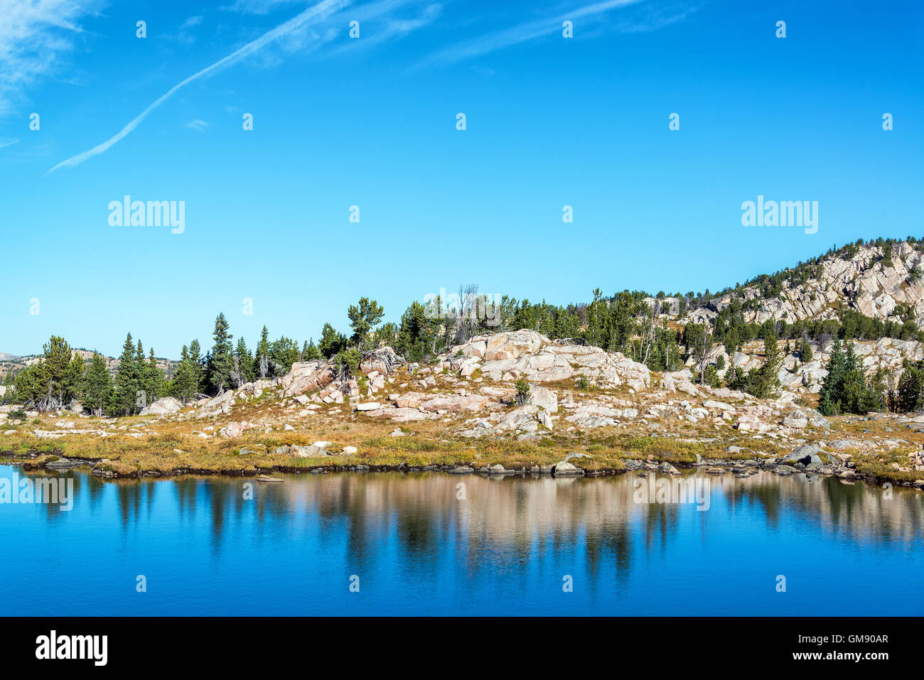 Lac et Forêt nationale de Shoshone en réflexion dans le Wyoming, USA Banque D'Images