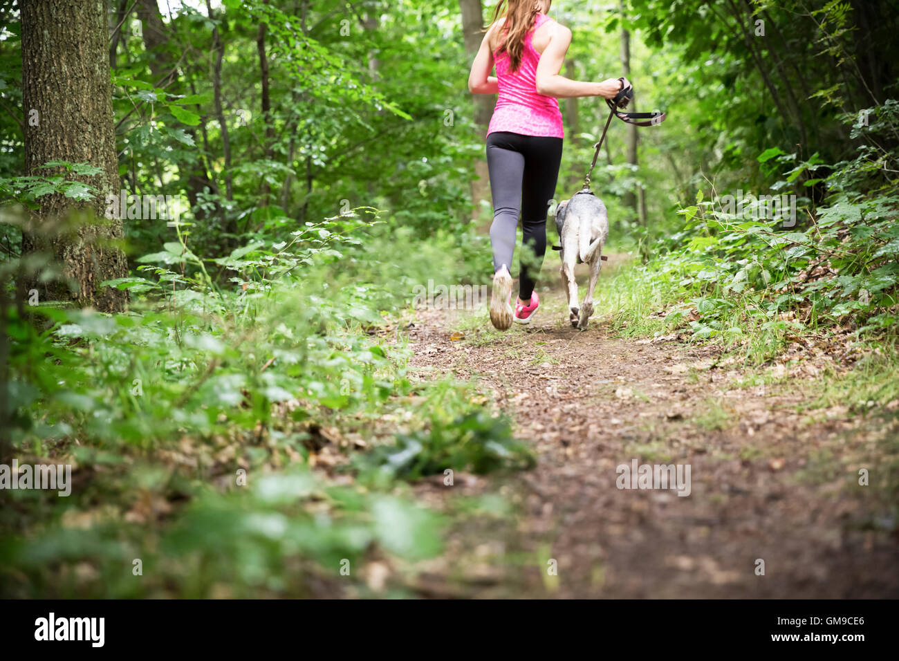 Jeune femme jogging avec chien en forêt Banque D'Images