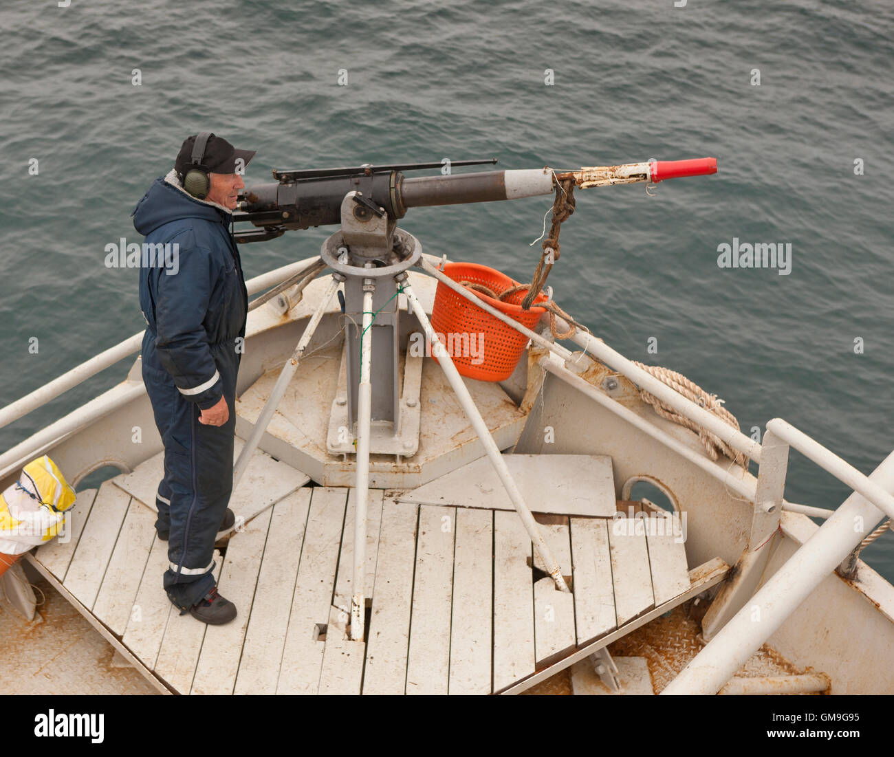 Whaler par le canon, l'attente pour tirer un petit rorqual, à bord de l'Hrafnreydur-100 KO l'Islande. Banque D'Images
