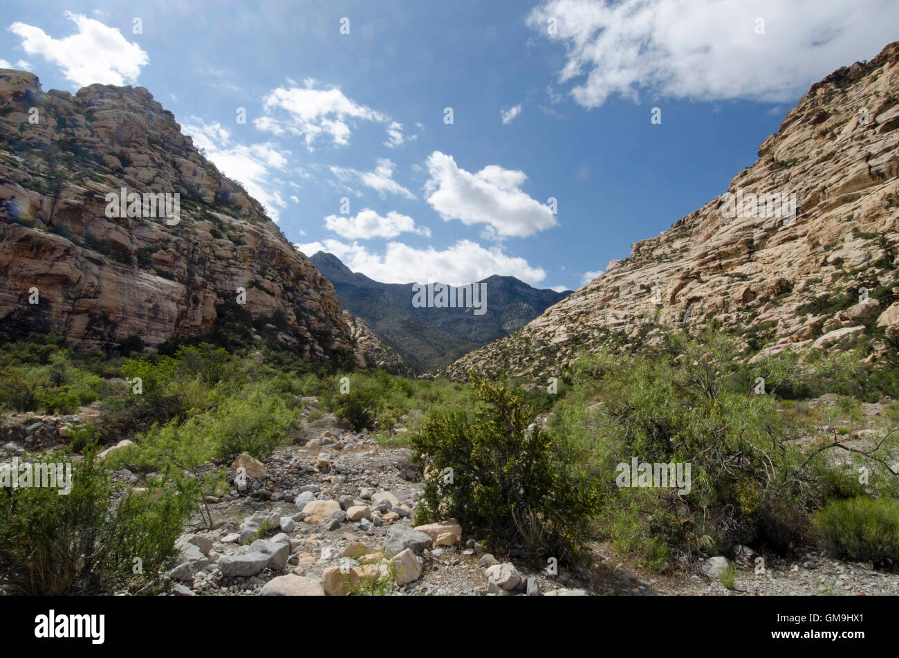 Le Nevada, Red Rock Canyon, Paysage avec montagnes rock Banque D'Images