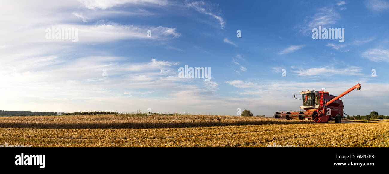 Ramlose, Danemark - 24 août 2016 : vue panoramique sur une moissonneuse-batteuse au travail Banque D'Images