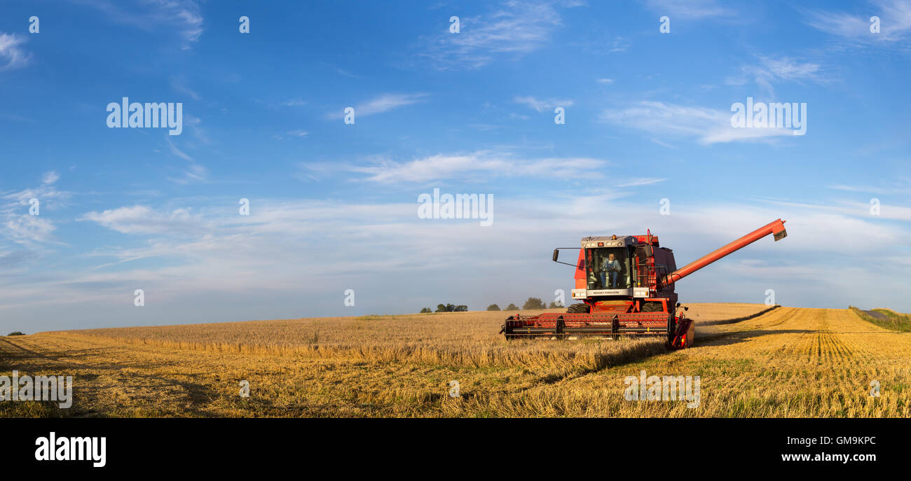 Ramlose, Danemark - 24 août 2016 : vue panoramique sur une moissonneuse-batteuse au travail Banque D'Images