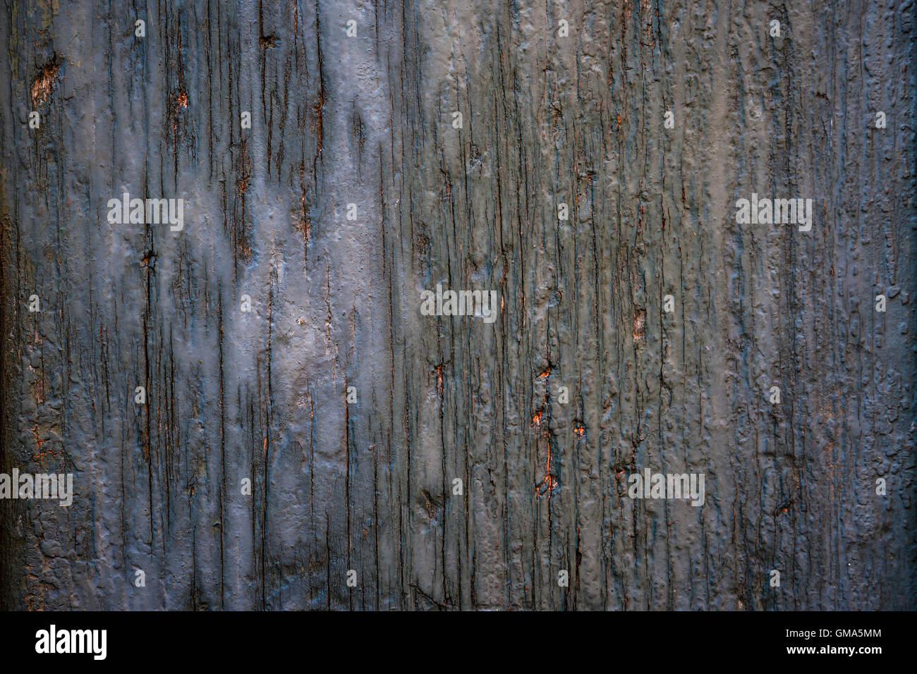 Vieux fond de bois fendu de détresse weathered wood rustique avec peinture bleu délavé Banque D'Images