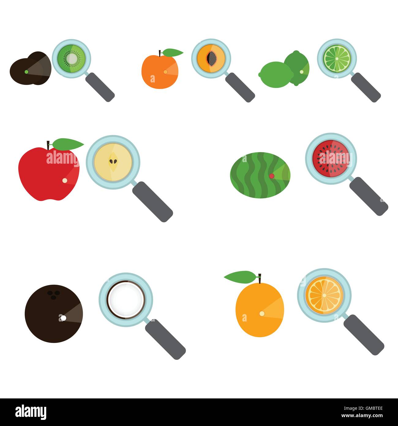 Jeu de fruit amplifié par une loupe. Loupe montrant l'intérieur du fruit. Morceau de fruit. Arrière-plan blanc. Isolées. Illustration de Vecteur