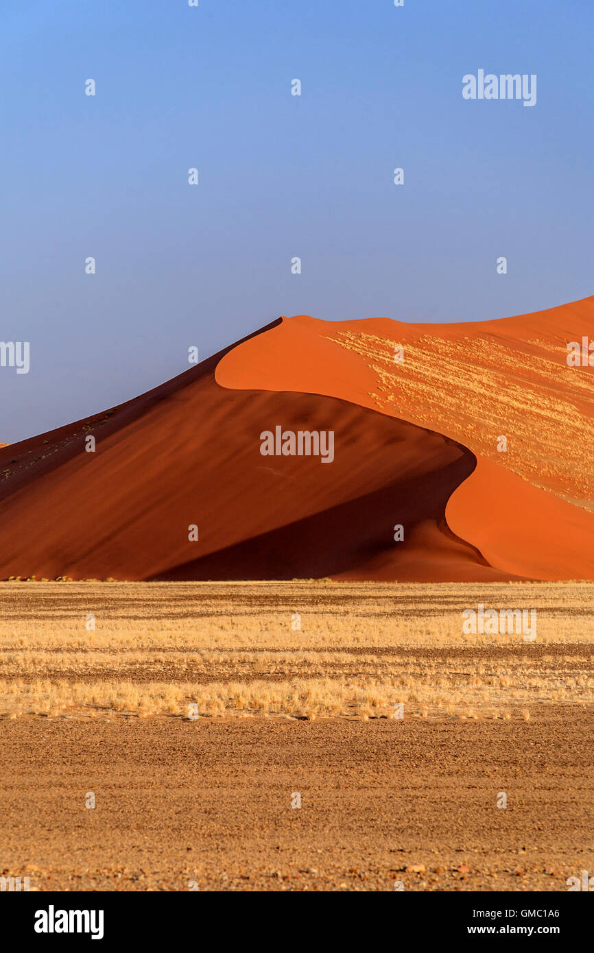 La Dune 45 dune star composé de 5 millions d'ans sable Sossusvlei désert du Namib Naukluft National Park en Afrique Namibie Banque D'Images