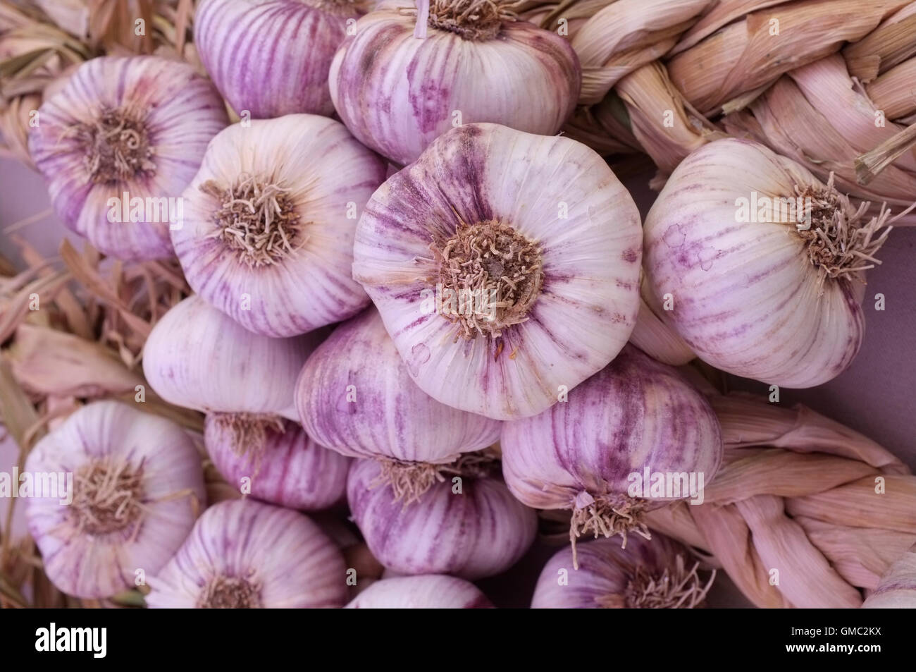 Purple l'ail (Allium sativum) à vendre au marché de Bedoin, Vaucluse, Provence, France. Banque D'Images