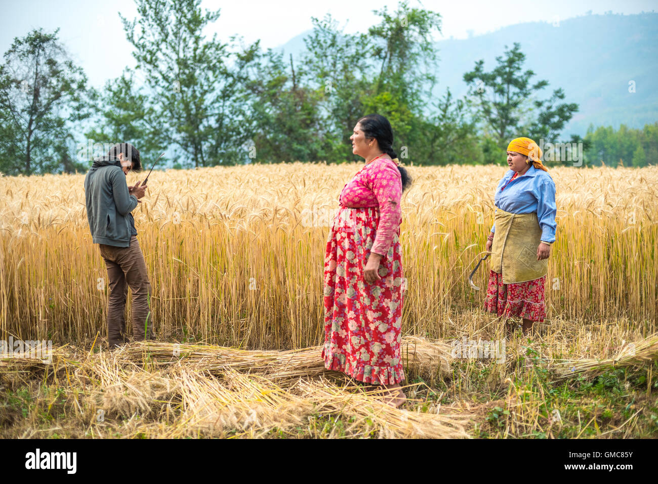 Les agriculteurs sont photographiés alors qu’ils font une pause après la récolte du blé dans un champ agricole du district de Kavrepalanchok, province de Bagmati, au Népal. Banque D'Images