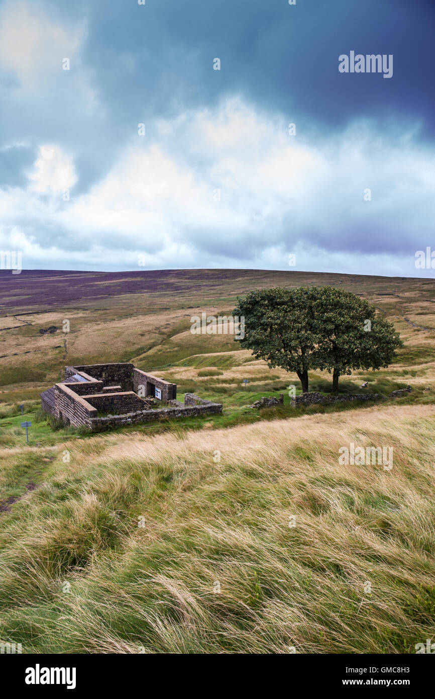 Haut withins farm, North Yorkshire, UK Angleterre Banque D'Images