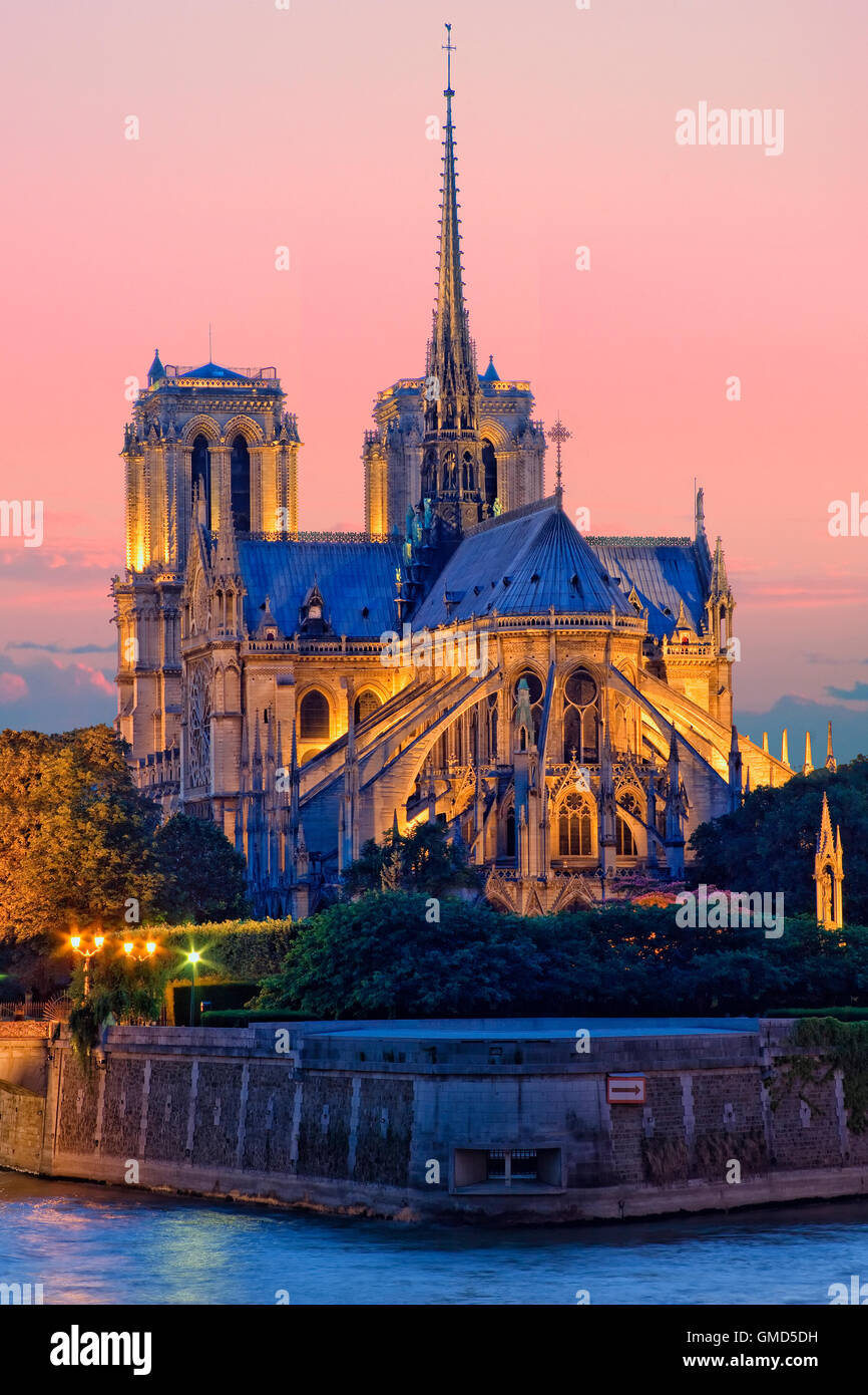Cathédrale Notre Dame de Paris, France Banque D'Images