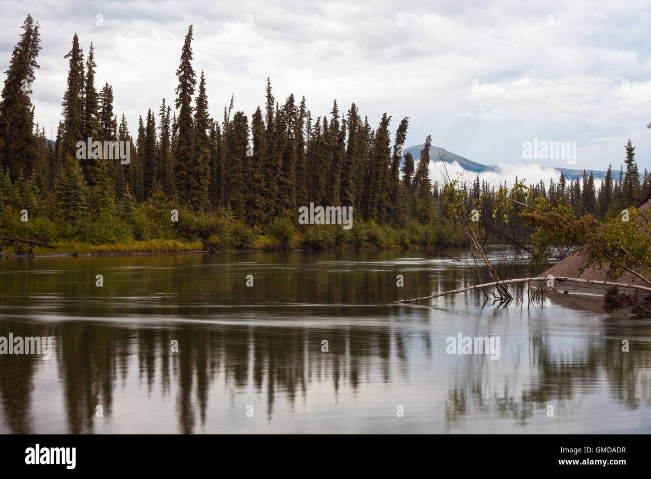 La rivière Big Salmon Banque D'Images