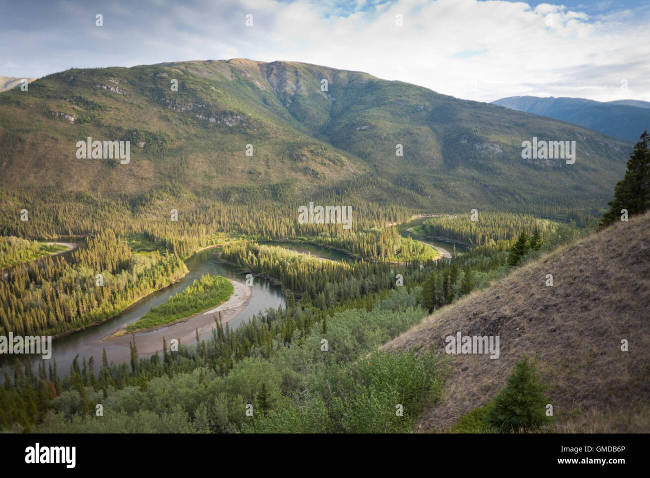 La rivière Big Salmon Banque D'Images