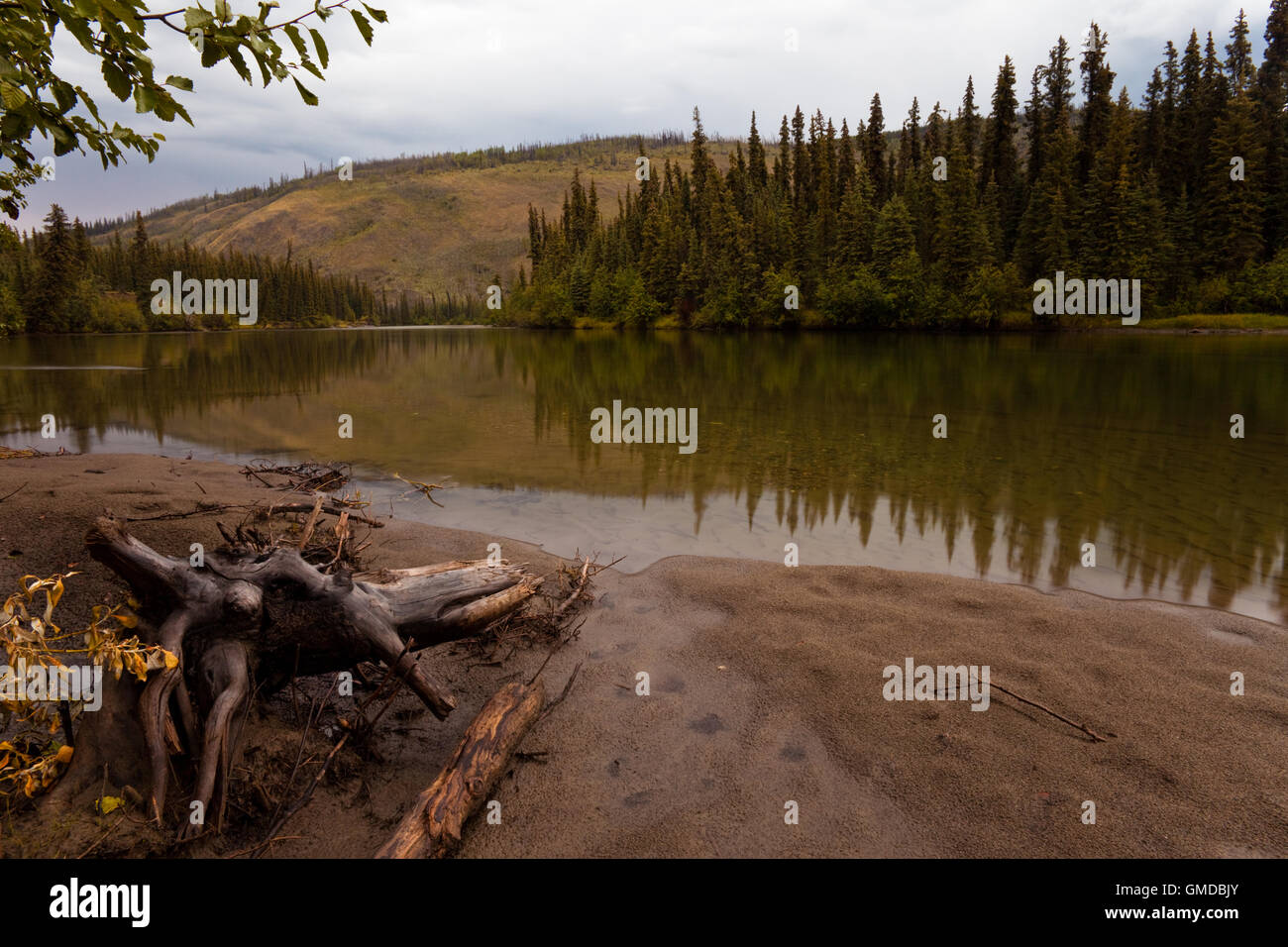 La rivière Big Salmon Banque D'Images