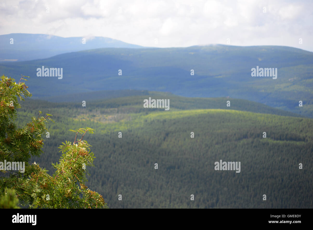 Szrenica montagne dans le Parc National de Karkonosze Banque D'Images
