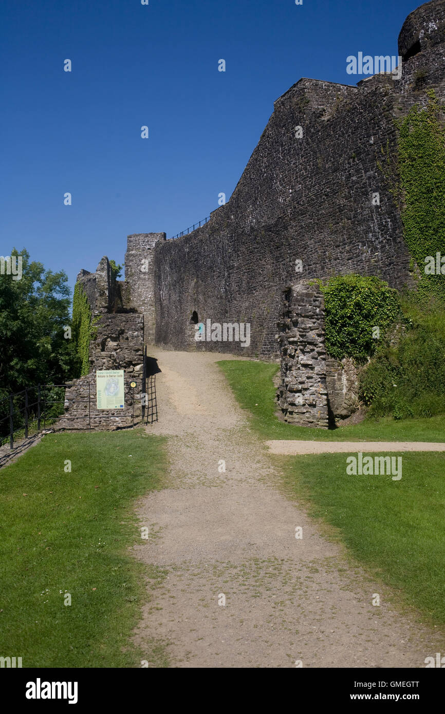 Dinefwr Castle avec le chemin de l'Est Banque D'Images