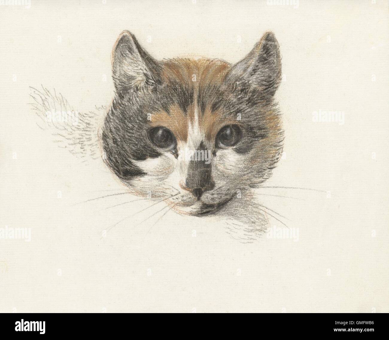 Tête d'un chat Calico à partir de l'avant, les yeux ouverts, par Jean Bernard, néerlandais craie et dessin au crayon. (BSLOC 2016 1 268) Banque D'Images