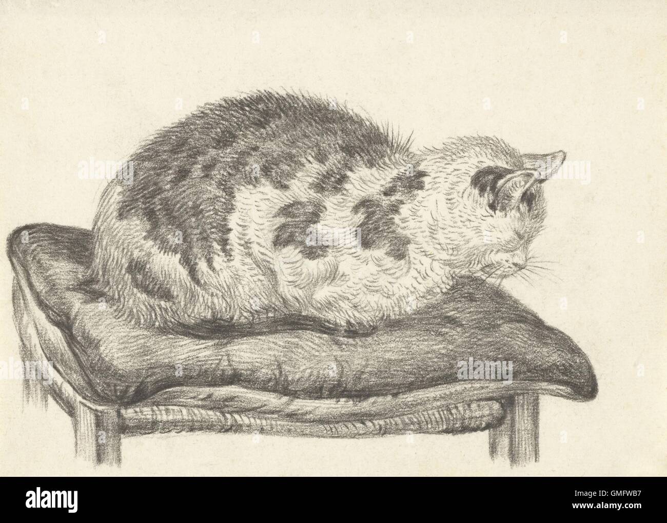 Chat couché sur un coussin, face vers la gauche, par Jean Bernard, 1828, dessin à la craie néerlandais. (BSLOC 2016 1 269) Banque D'Images