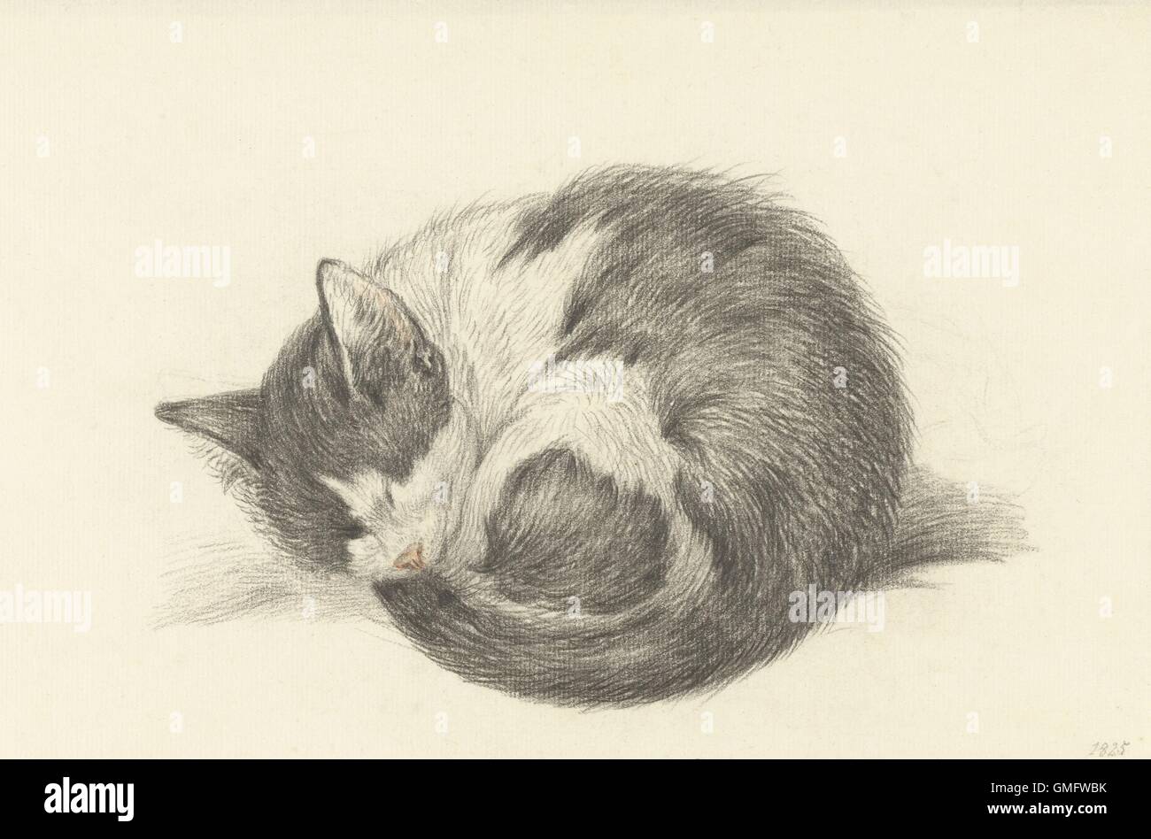 Chat Couchage Roule En Boule Par Jean Bernard 15 Dessin A La Craie Neerlandais Bsloc 16 1 270 Photo Stock Alamy