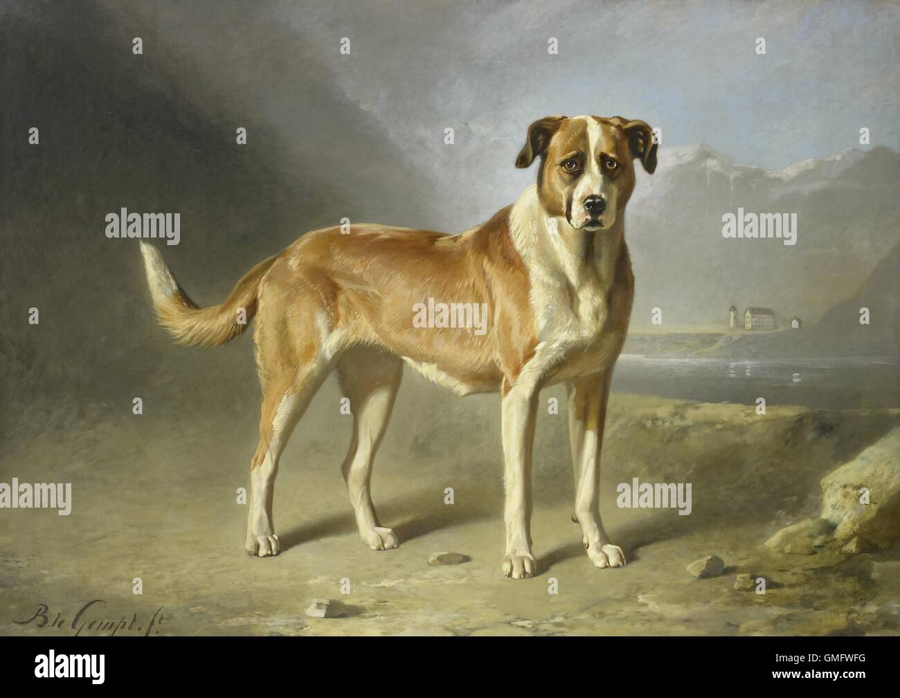 Un chien Saint Bernard, par Bernard te Gempt, ch. 1860-79, la peinture hollandaise, huile sur toile (BSLOC 2016 1 295) Banque D'Images