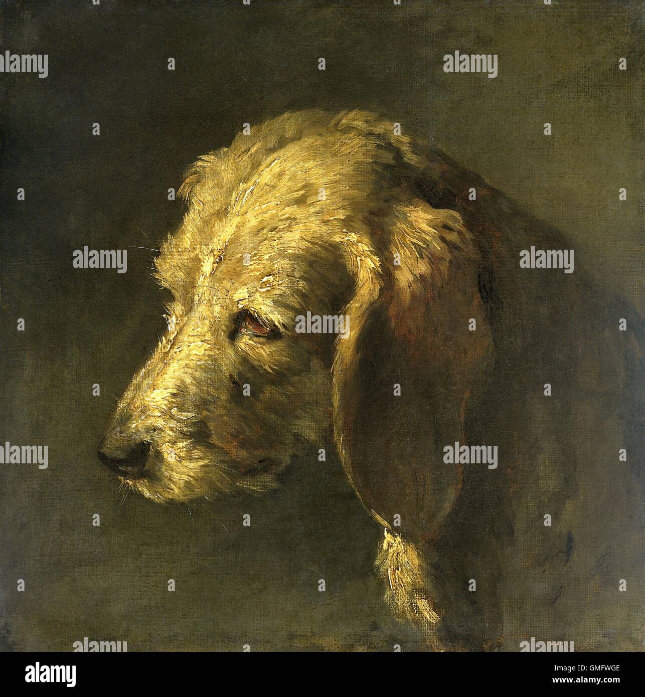 Tête d'un chien, par Nicolas Toussaint Charlet, ch. La peinture française, 1820-45, huile sur toile. (BSLOC 2016 1 297) Banque D'Images