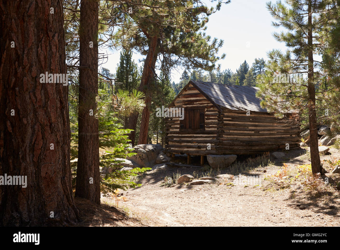 Chalet en bois dans une forêt, Big Bear, en Californie, USA Banque D'Images