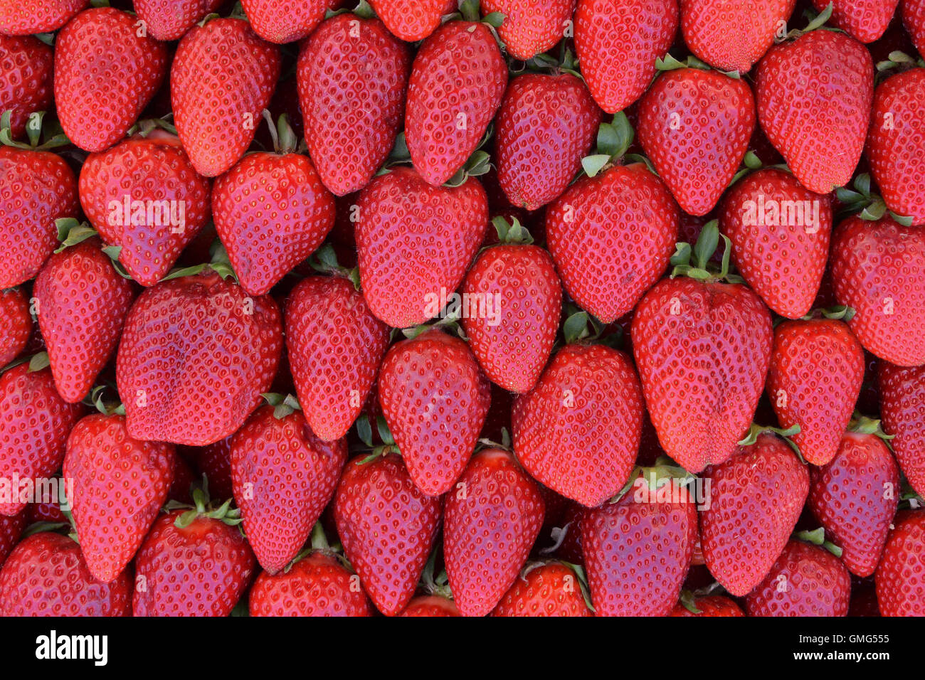 Fraises rouge pile de texture de fond de fruits frais. Banque D'Images