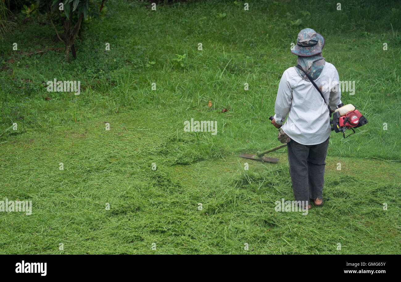 L'homme coupé de l'herbe avec une tondeuse Banque D'Images