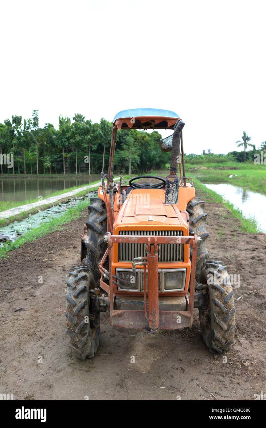 Le tracteur dans un champ de riz Banque D'Images