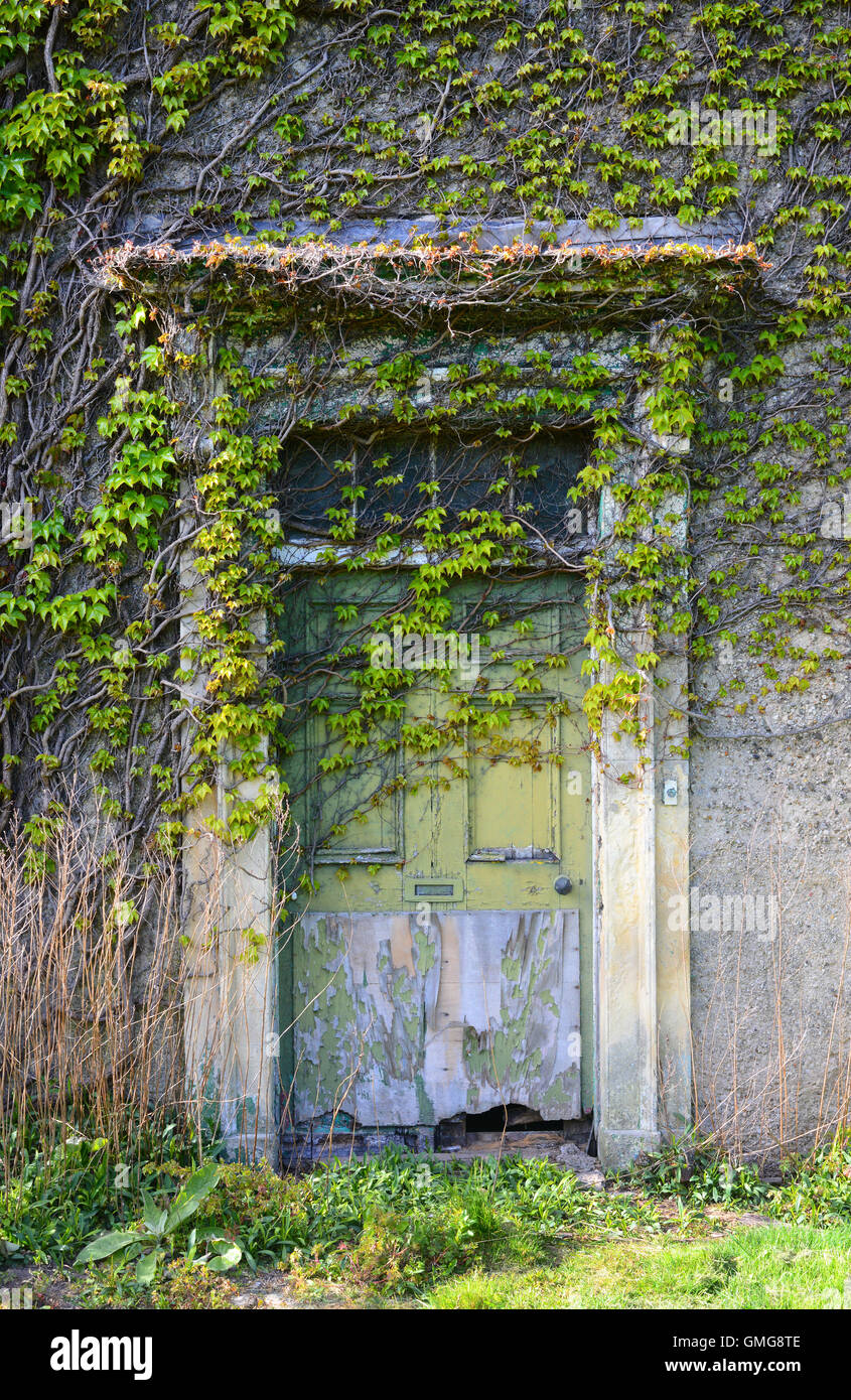 De plus en plus la végétation et ivy hall vide près de Leeds yorkshire uk Banque D'Images