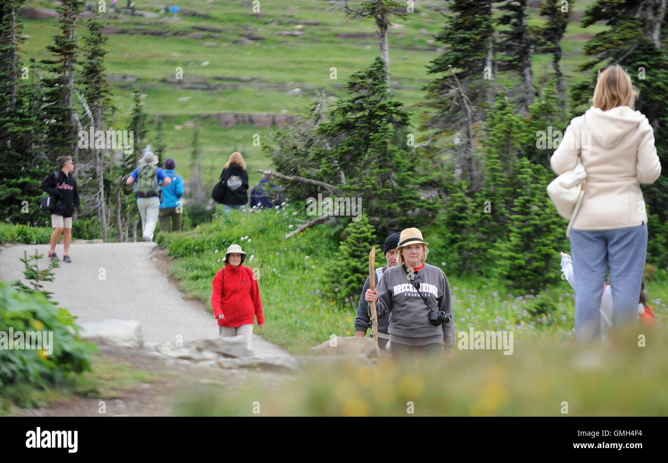 09 août 2016 - Glacier National Park, Montana, United States - Les randonneurs sont vus dans le Parc National de Glacier dans le Montana. Banque D'Images