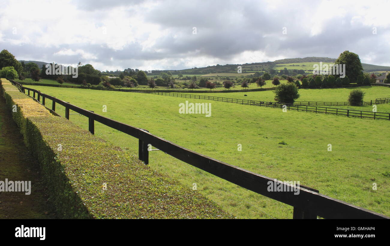 Des champs verts à Kinnitty, près de la ville de Birr, County Offaly, Irlande Banque D'Images