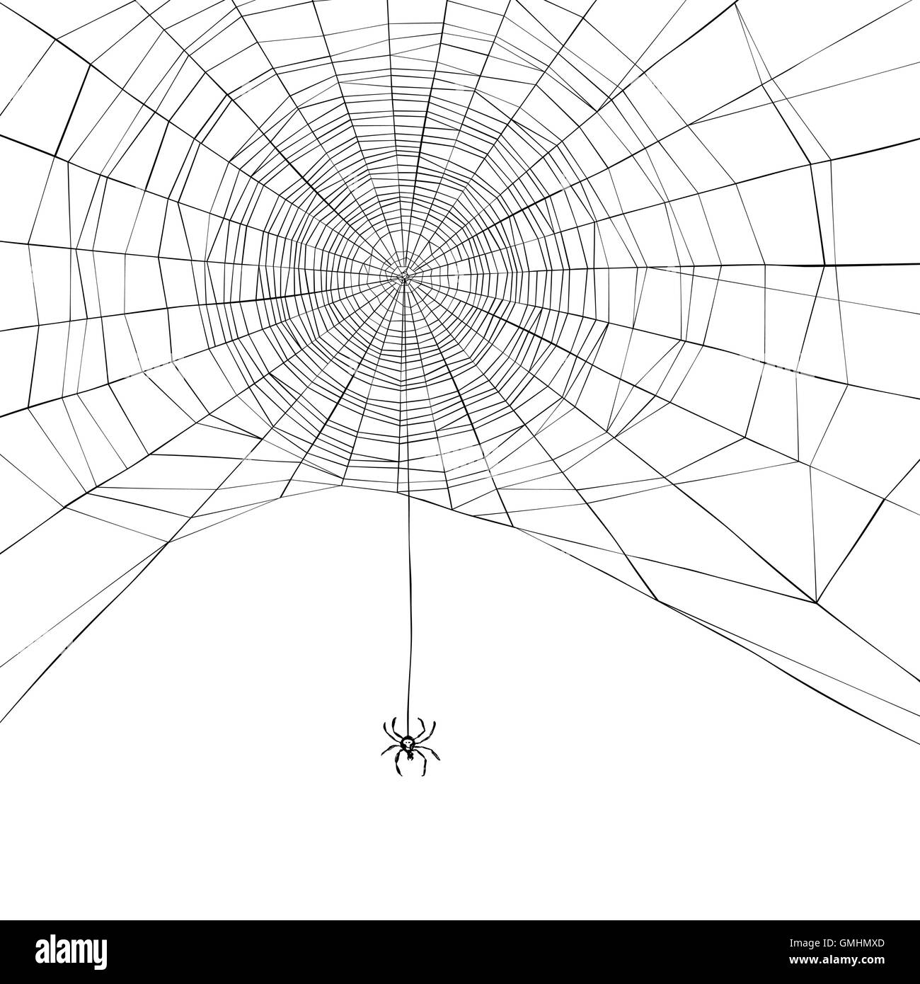 Arrière-plan de l'Halloween. Spider web. Vector illustration Illustration de Vecteur