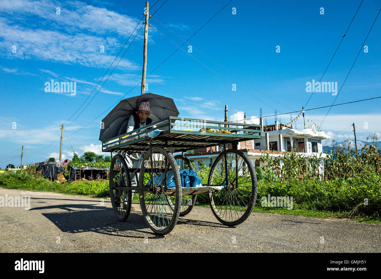 Un vendeur de fruits de la rue en poussant son chariot à quatre roues, Hetauda, Népal Banque D'Images