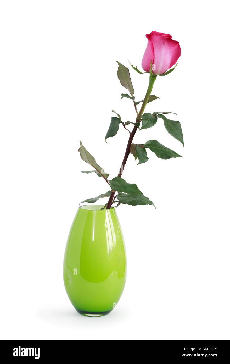 Rose dans un Vase Banque D'Images