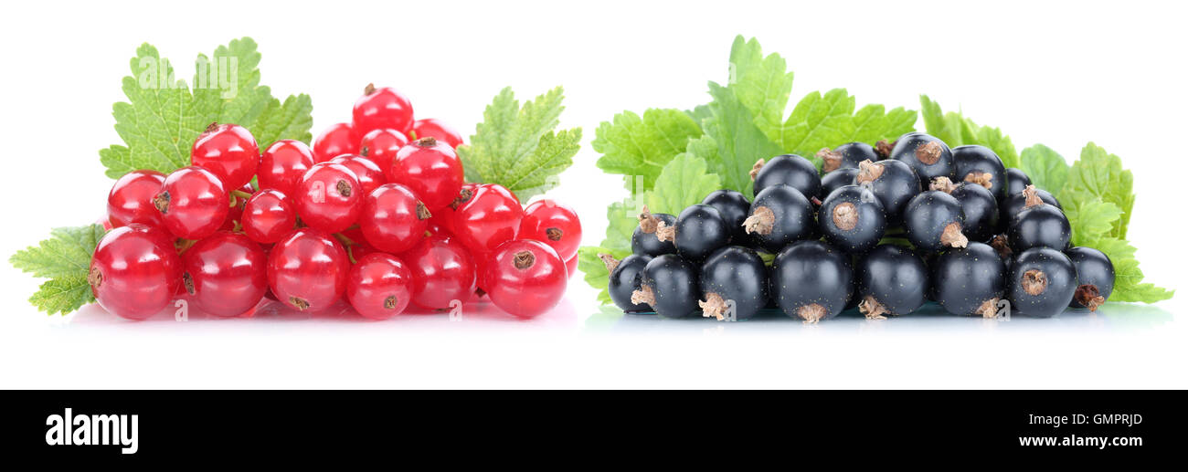 Cassis et groseilles rouges baies Fruits frais Fruits isolés sur un fond blanc Banque D'Images