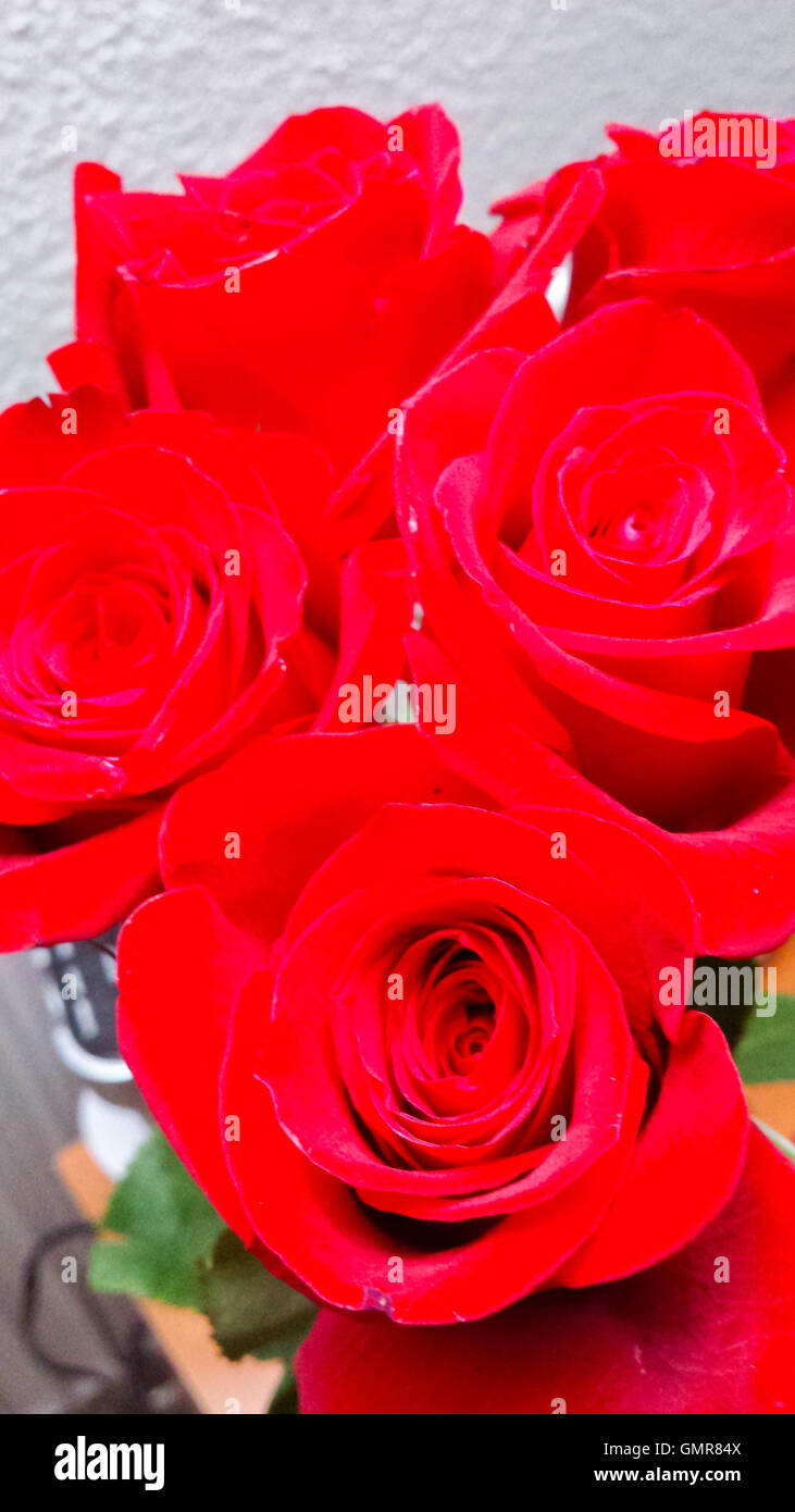 Bouquet de roses rouges Banque D'Images