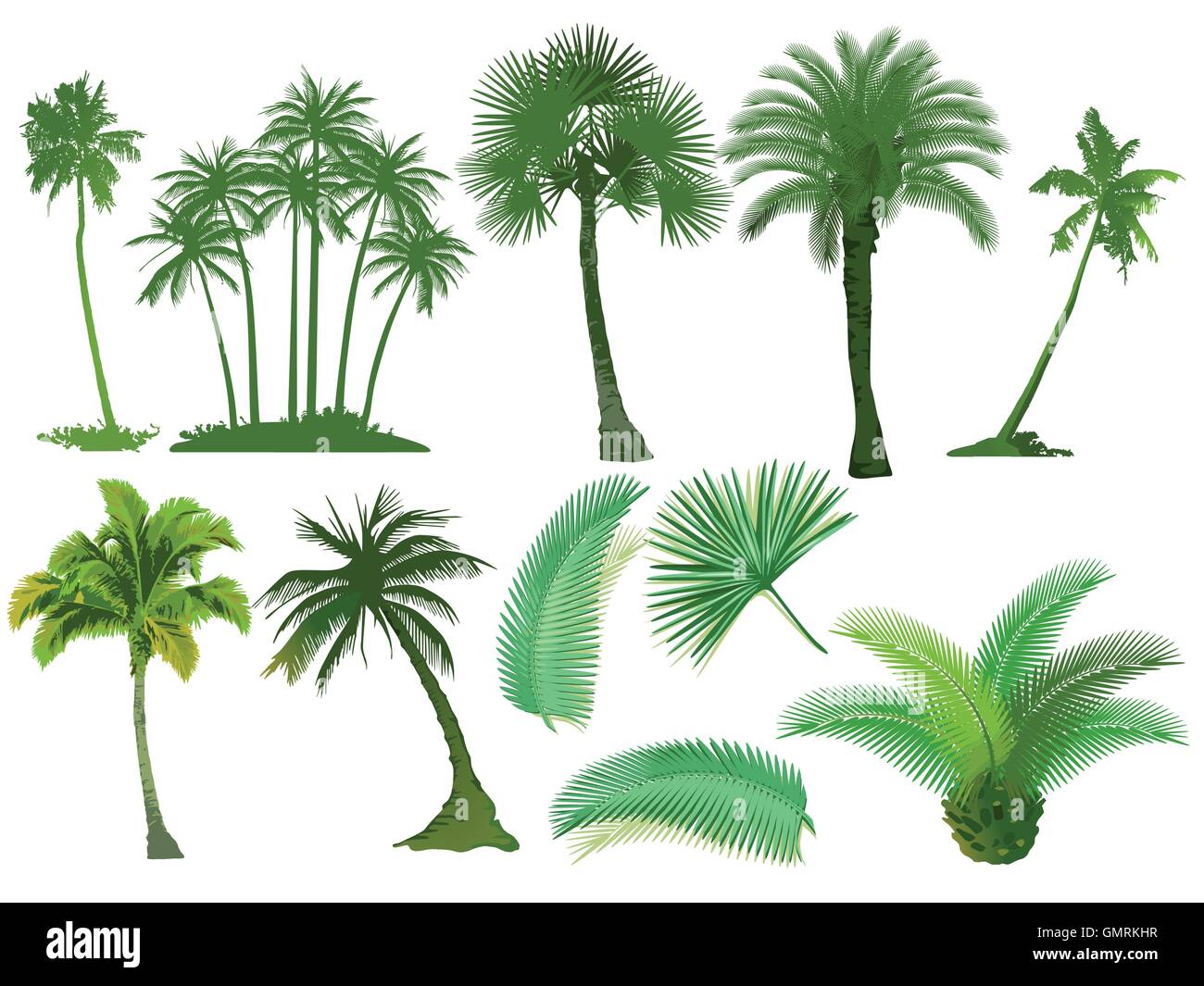 Palmiers Illustration de Vecteur