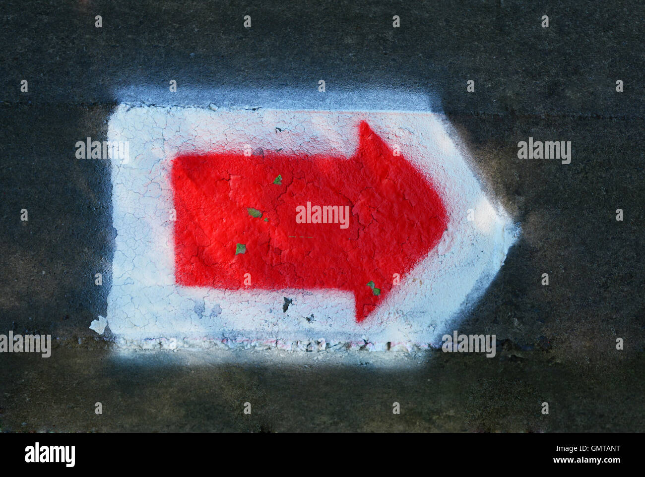 La flèche rouge pointeur sur la piste cyclable dans la forêt. Sentier de l'itinéraire. Banque D'Images