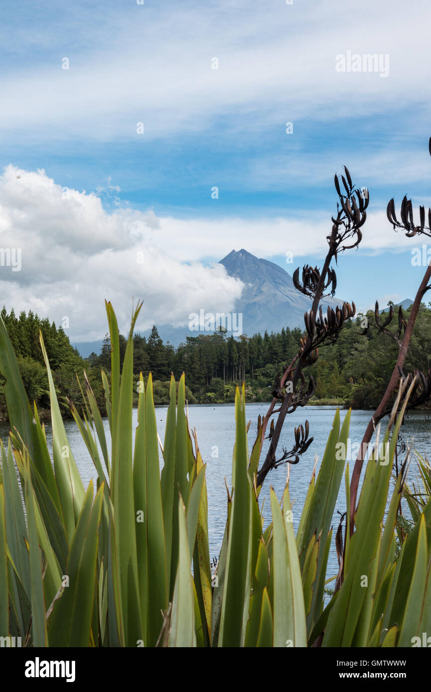 Lake Mangamahoe avec Mont Taranaki en arrière-plan. L'Île du Nord, en Nouvelle-Zélande. Banque D'Images