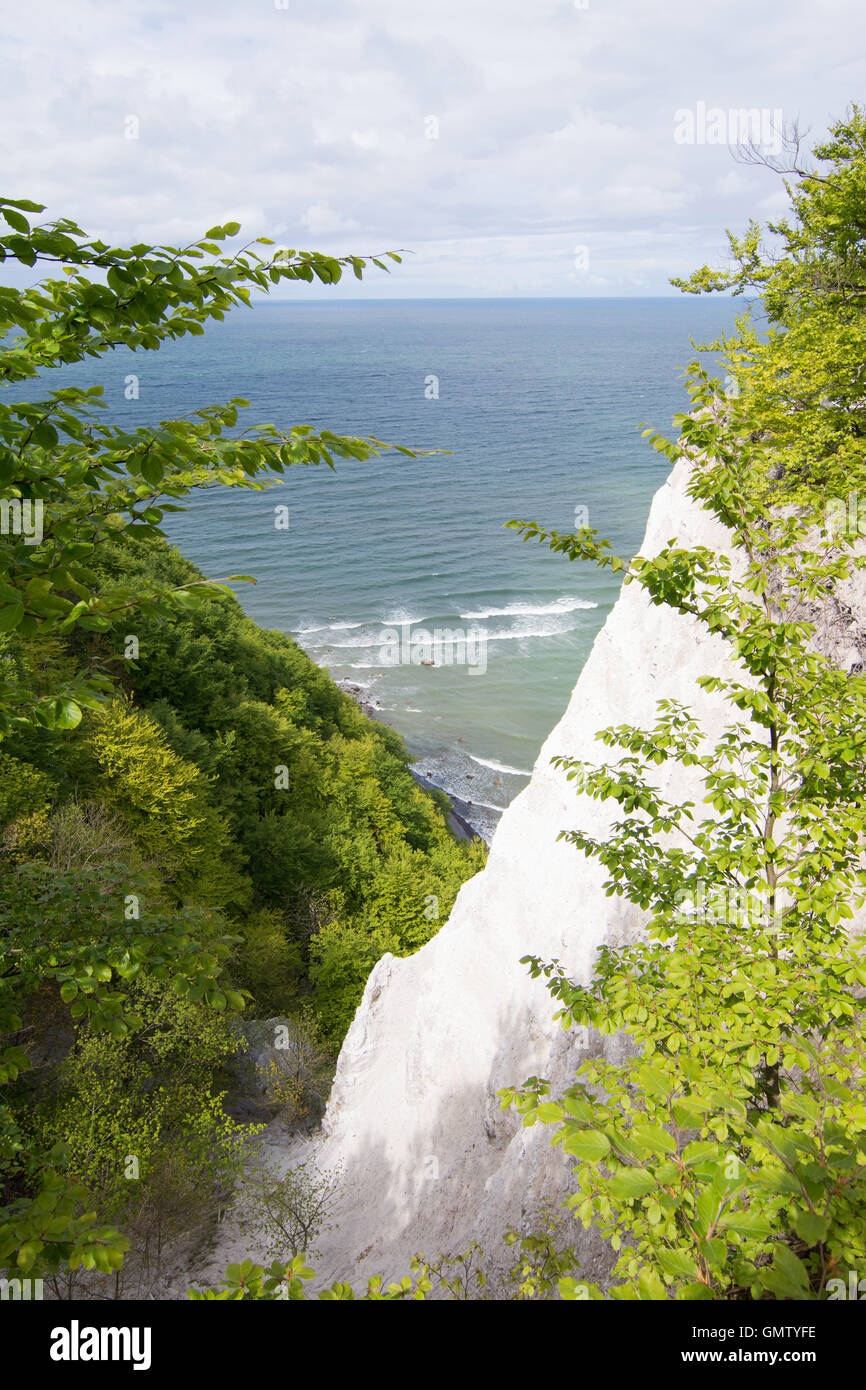 L'Koenigsstuhl, Kings Président, est le plus connu de craie sur le Stubbenkammer dans le Parc National de Jasmund, sur la mer Baltique Banque D'Images