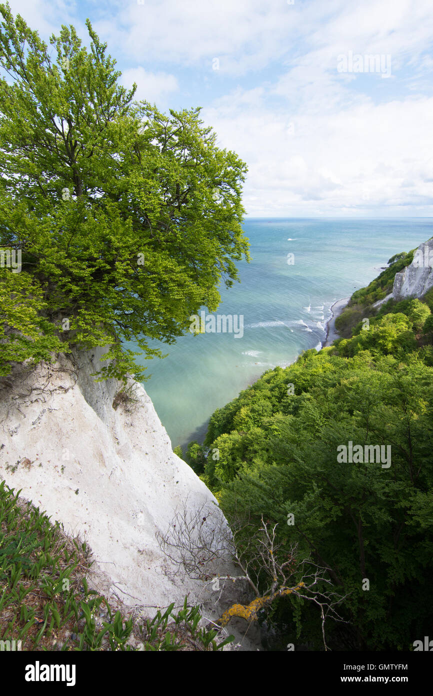 L'Koenigsstuhl, Kings Président, est le plus connu de craie sur le Stubbenkammer dans le Parc National de Jasmund, sur la mer Baltique Banque D'Images