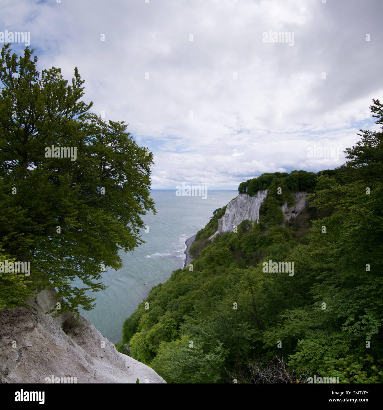 L'Koenigsstuhl, Kings Président, est le plus connu de craie sur le Stubbenkammer dans le Parc National de Jasmund, sur la mer Baltique Banque D'Images