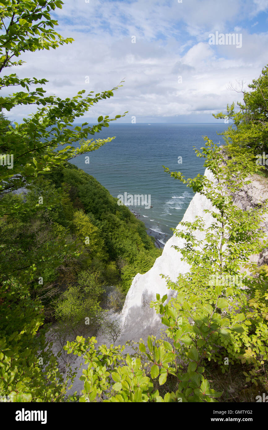 L'Koenigsstuhl, Kings Président, est le plus connu de craie sur le Stubbenkammer dans le Parc National de Jasmund, sur la mer Baltique Banque D'Images