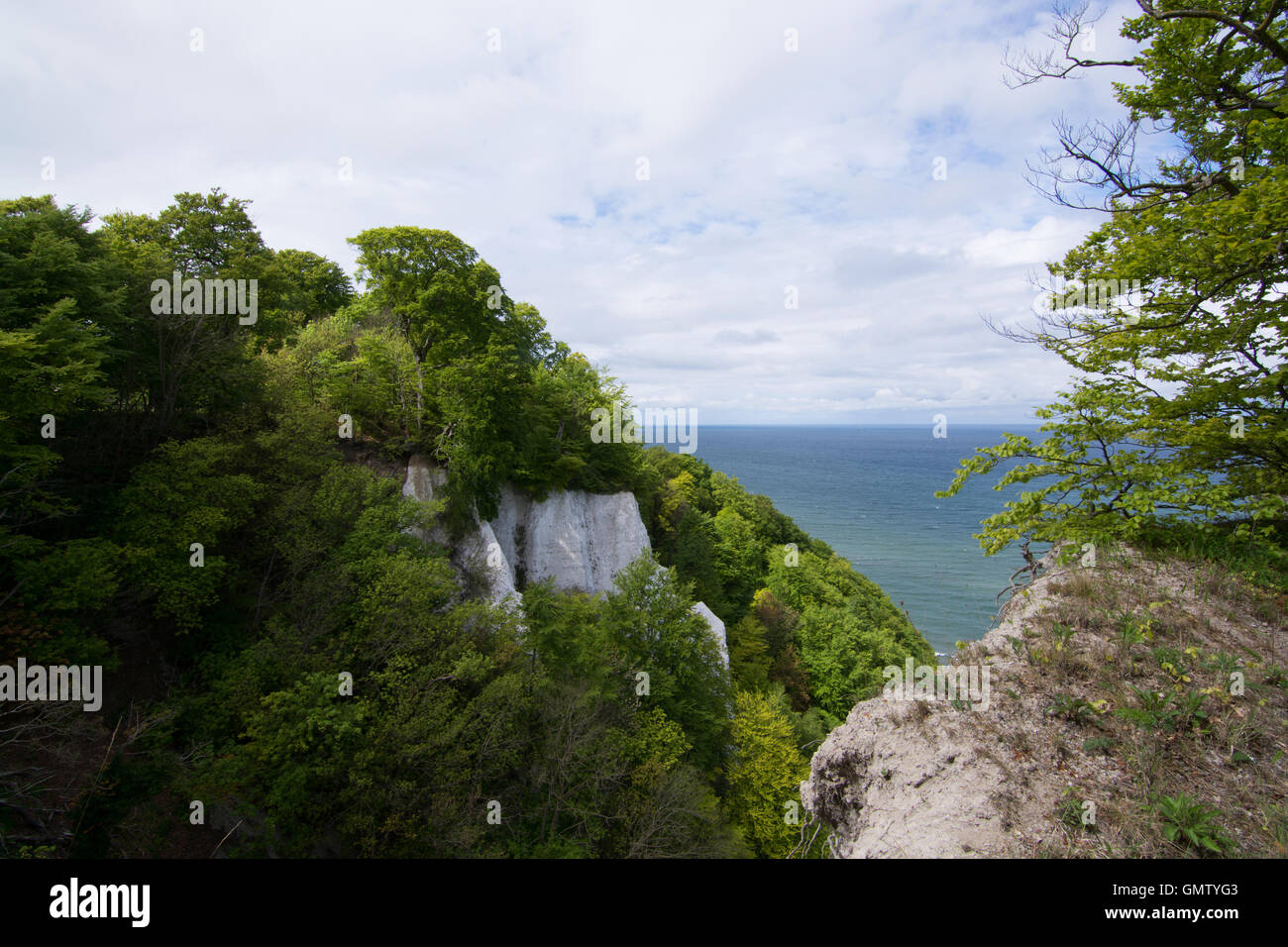 L'Koenigsstuhl, Kings Président, est le plus connu de craie sur le Stubbenkammer dans le Parc National de Jasmund, sur la mer Baltique Banque D'Images