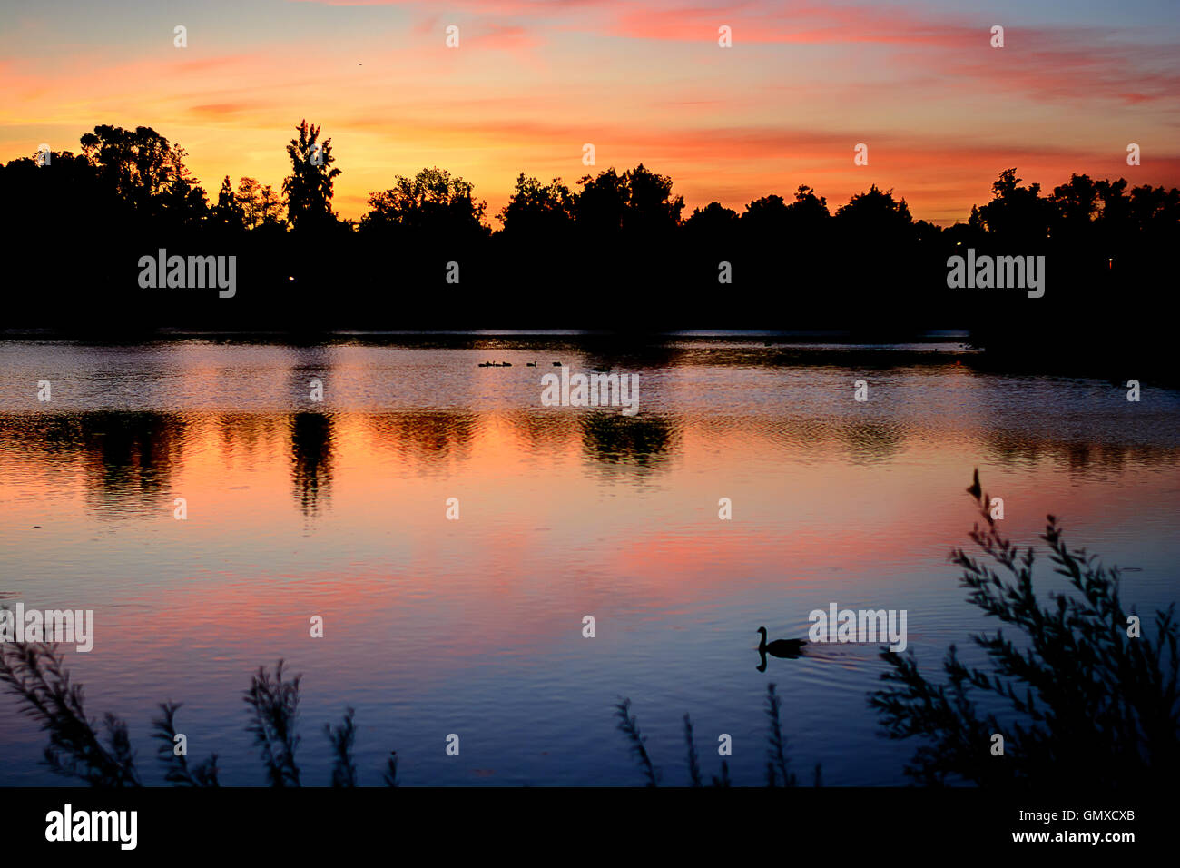 Lac de soleil colorés avec réflexion et belle lumière Banque D'Images